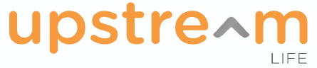 Asset 21